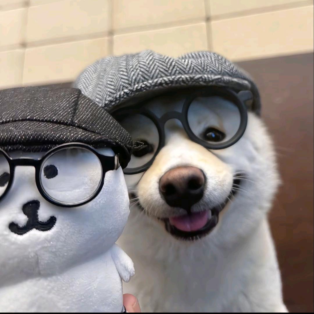 只想睡觉。