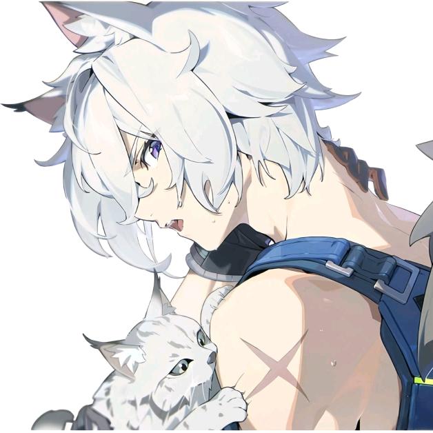 环奈ovo（收藏家）