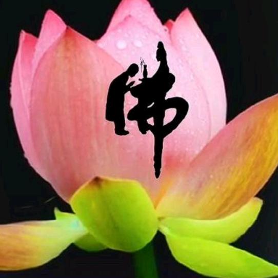 思念.87395263
