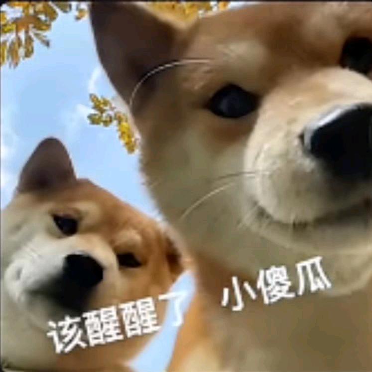 一阵风回首往事