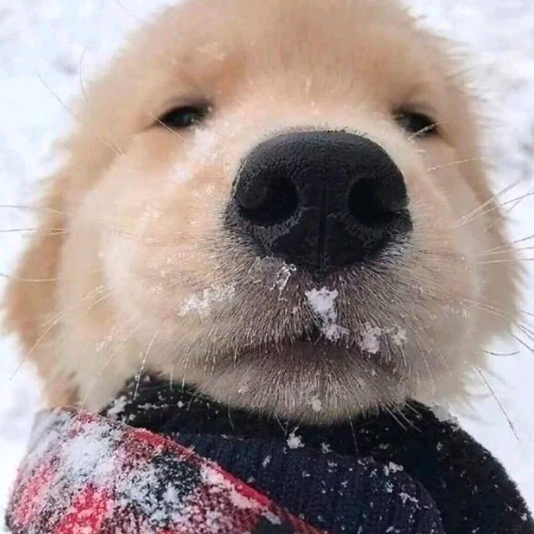 宁要工地搬水泥也要攒钱买无极#cu525