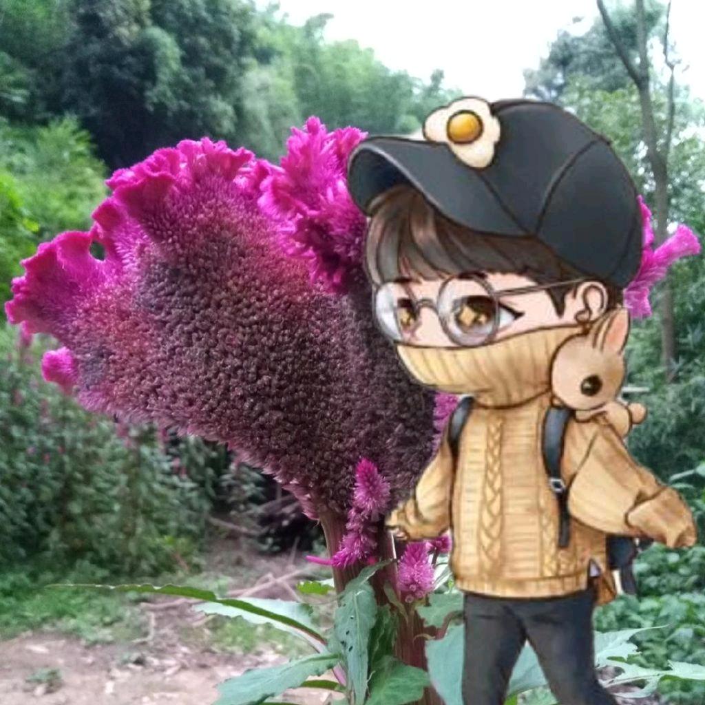 爱是包容(赞🦐）（缓更～）