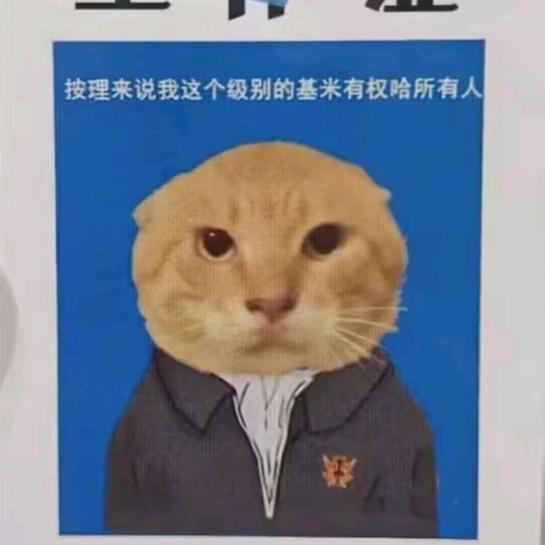 柳洳熙