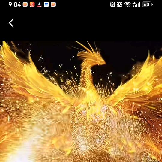 HE大的不得了🌱