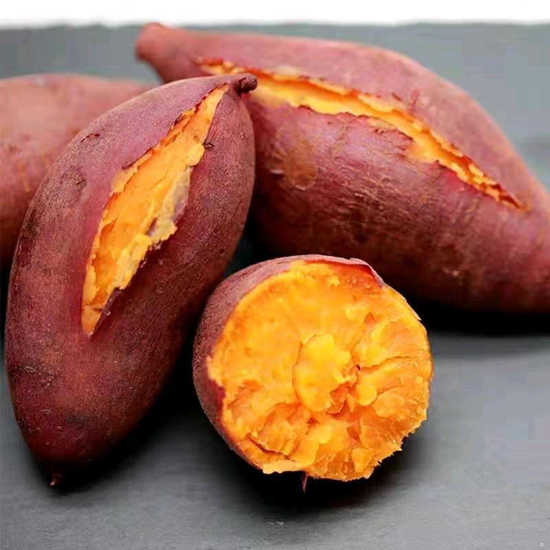 农家天然红薯