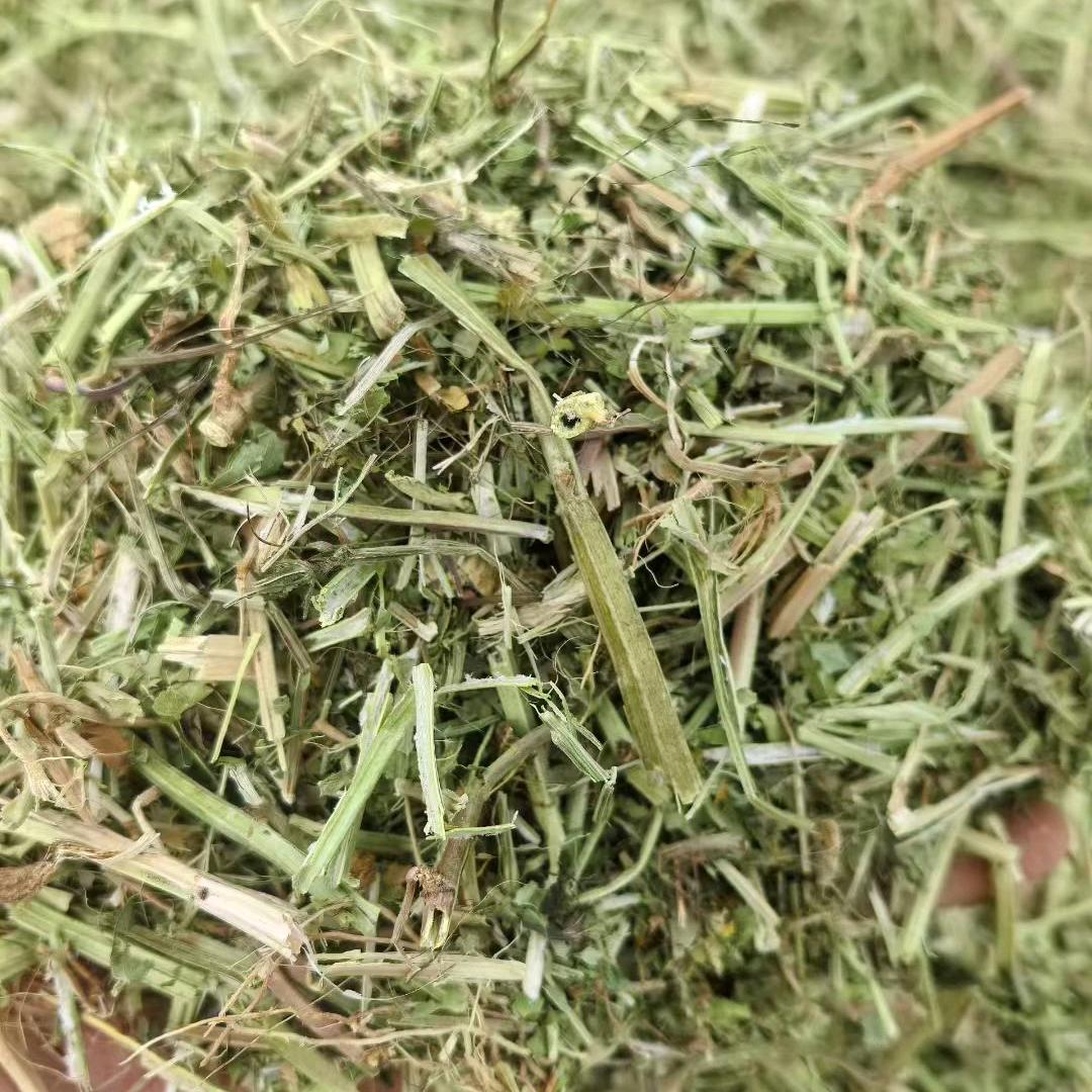 常年经营各种草料 酒糟