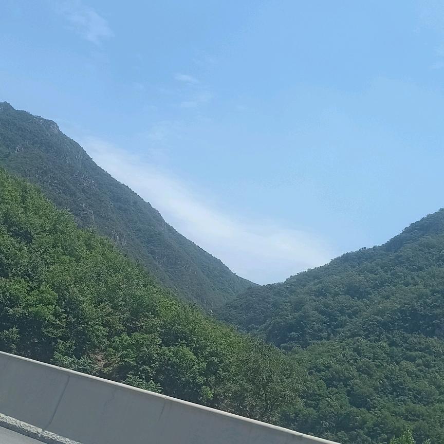 韩龙齐
