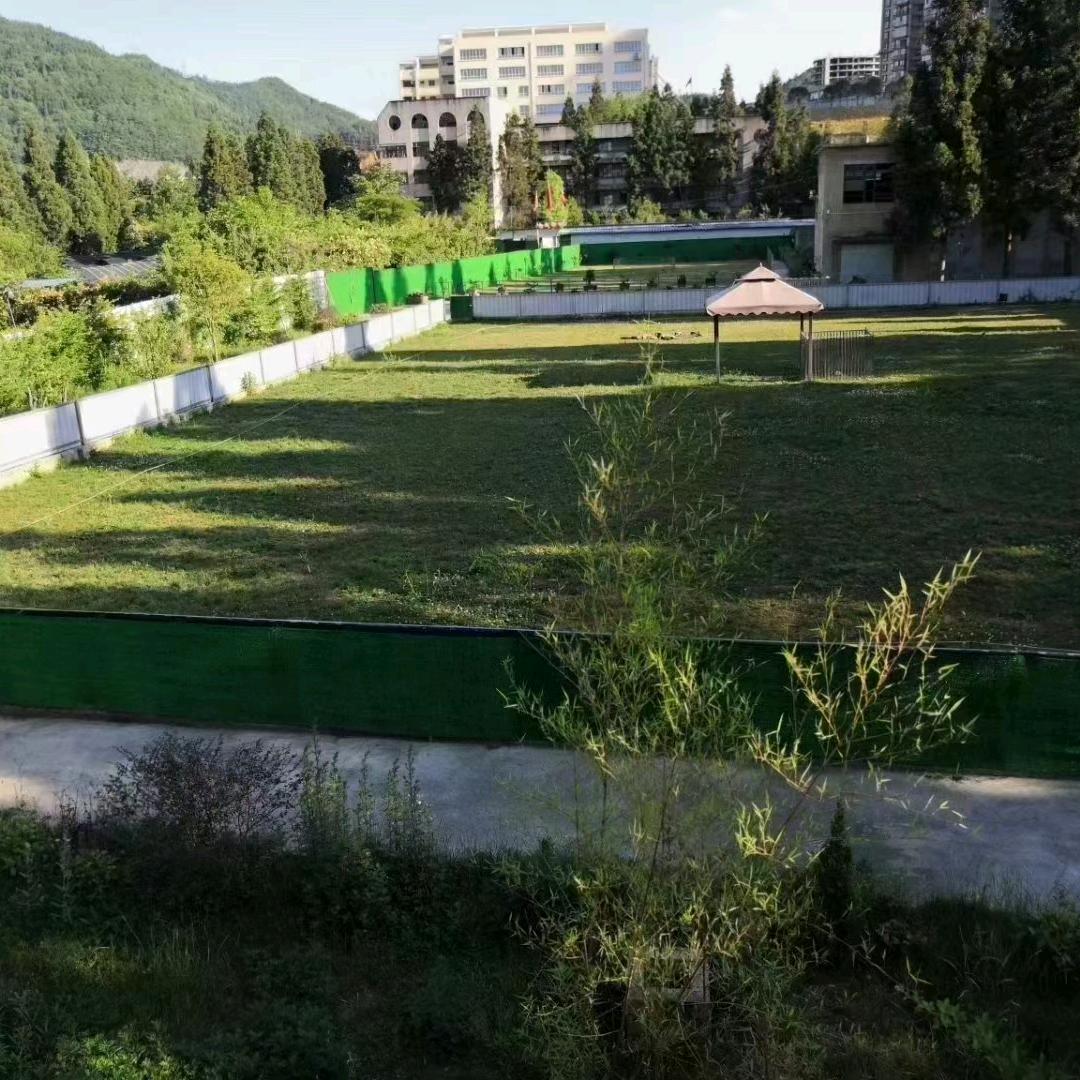 阿坤宠物繁训基地