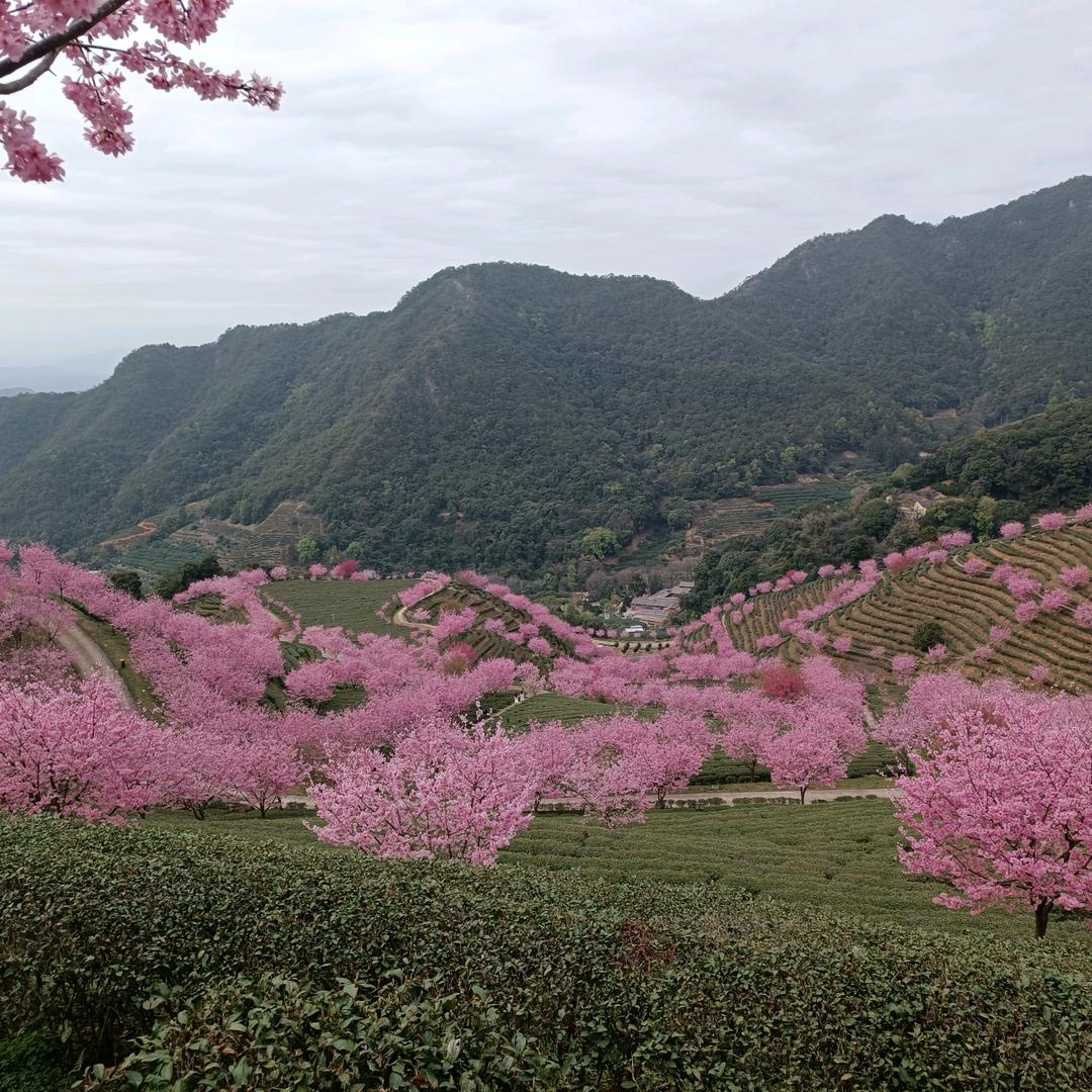 风铃江