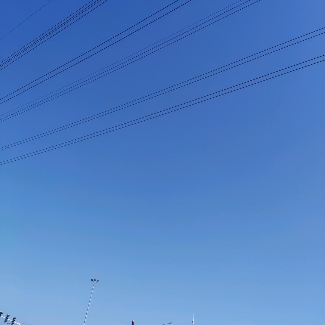 牛牛