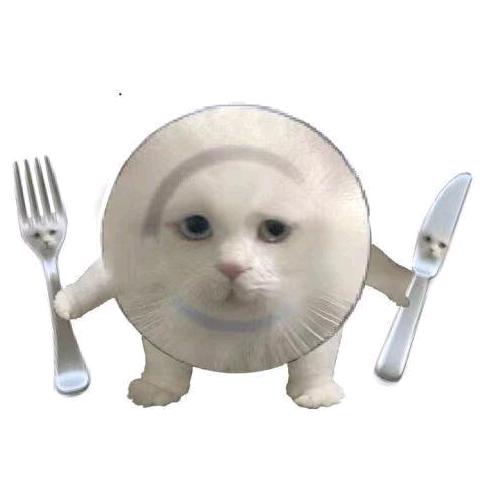 ˇ