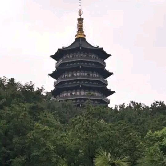 飞哥