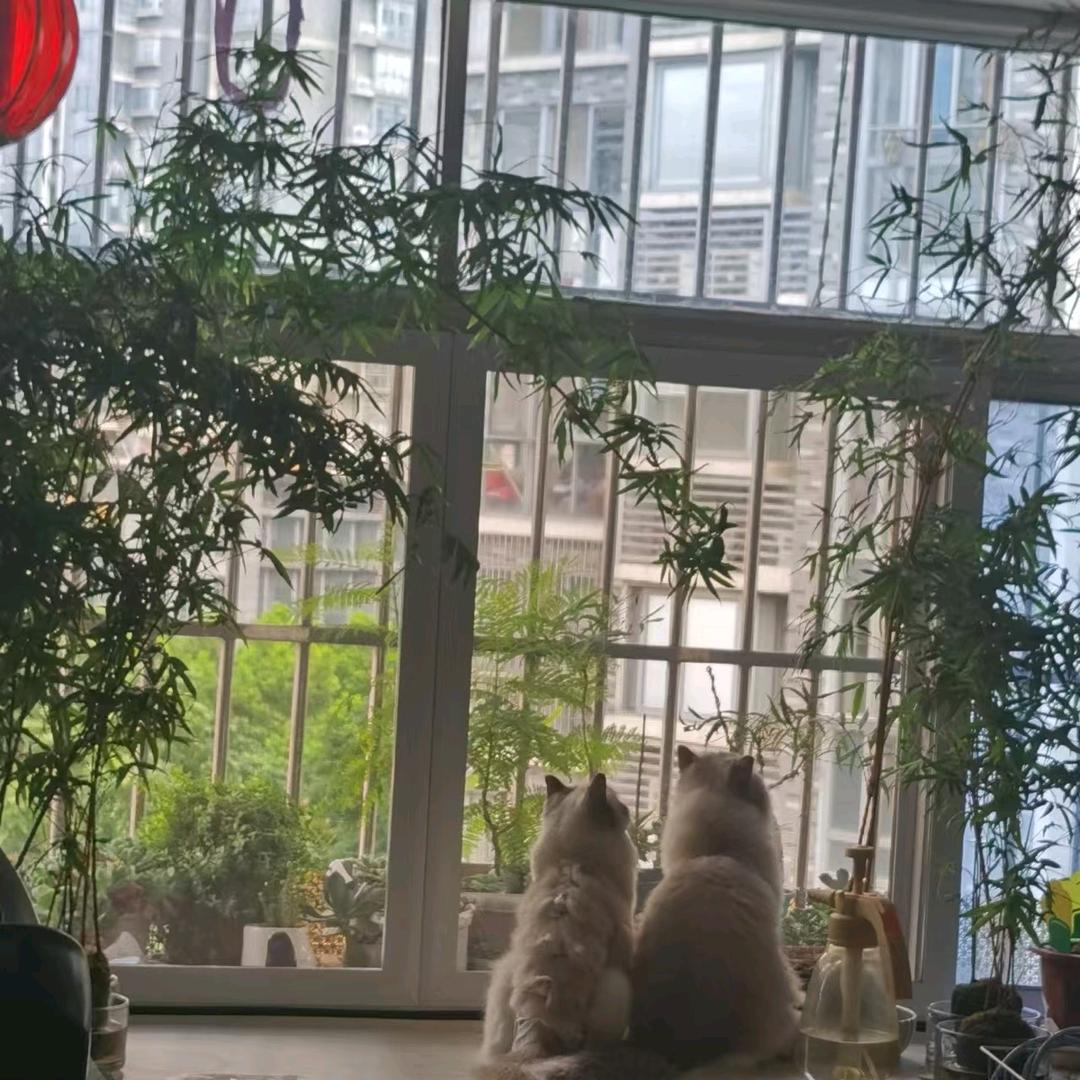 一粒尘埃