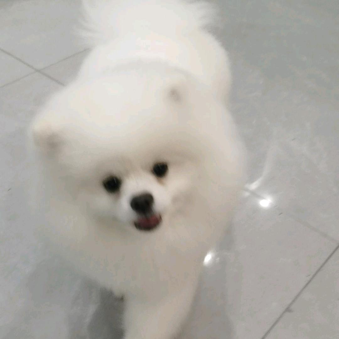 小龙女