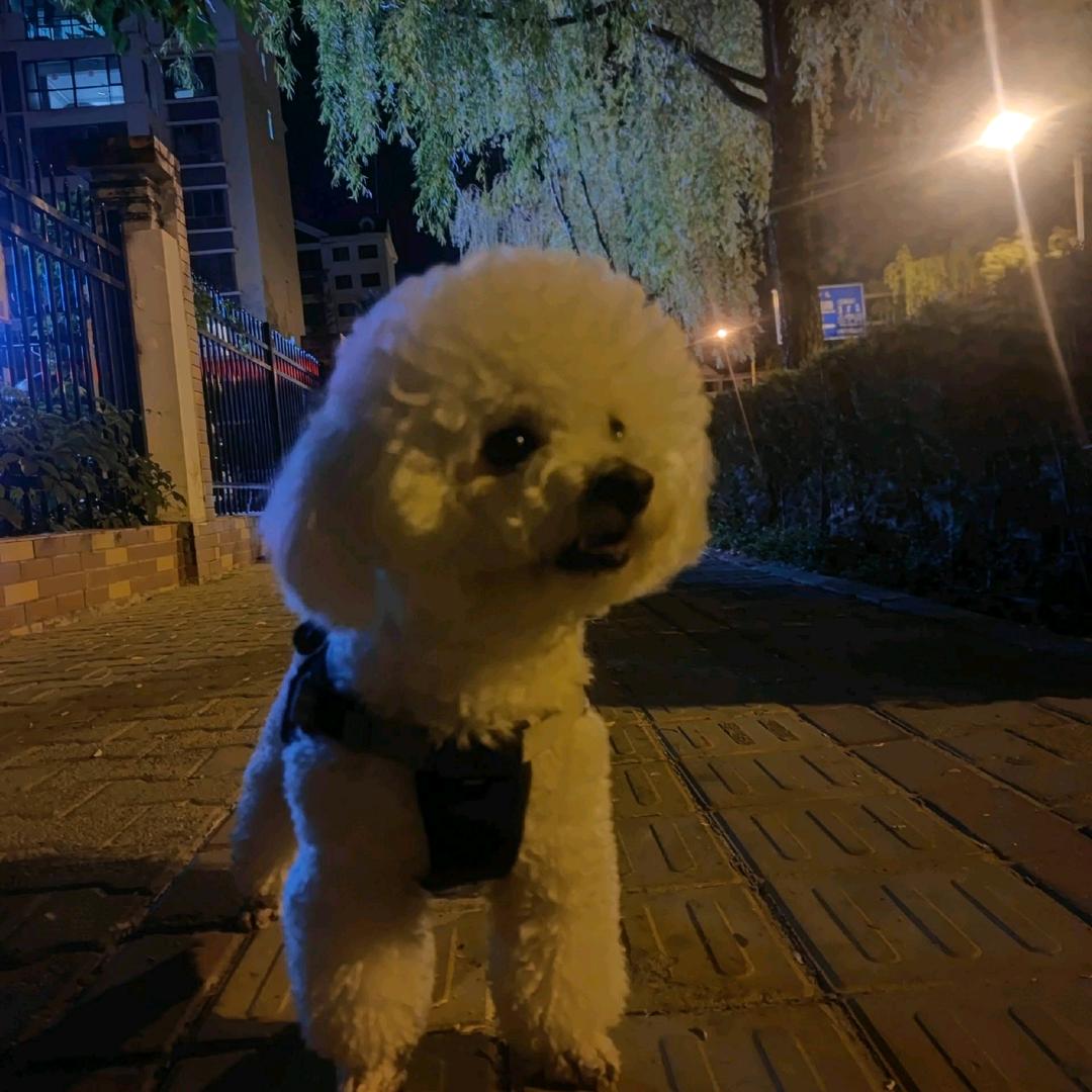 乌恩温