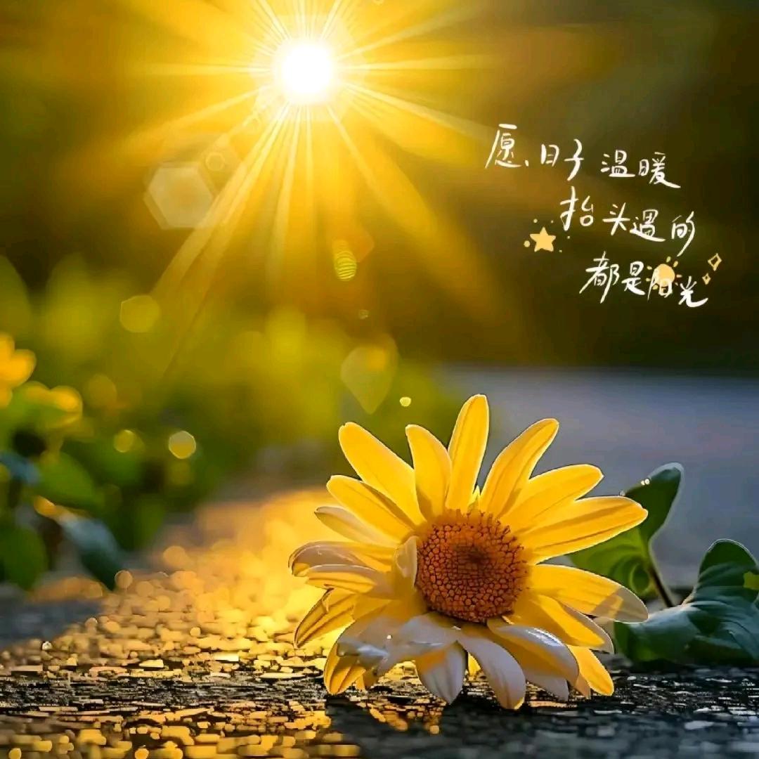 是倩姐👑