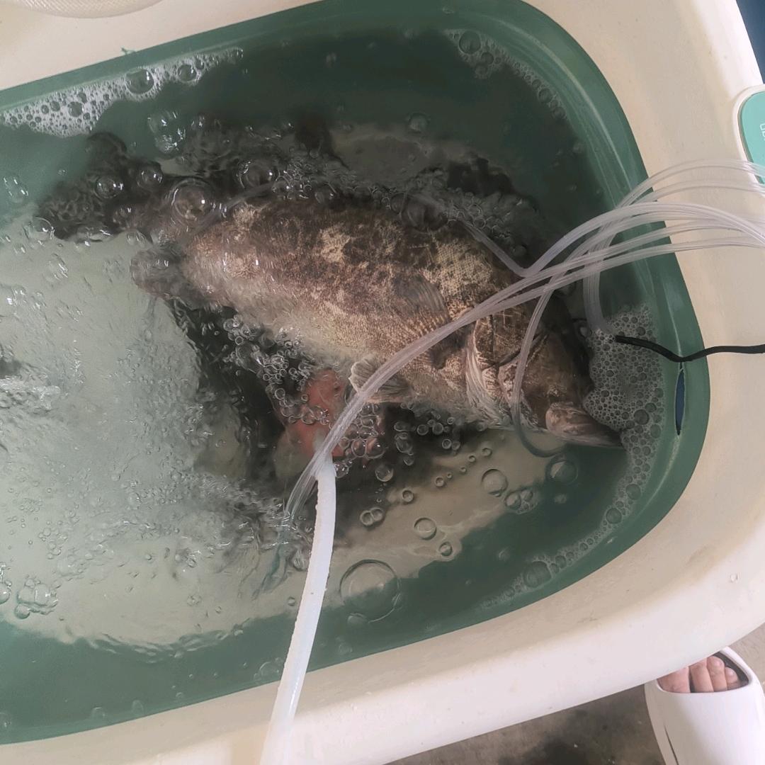 户外爱好者