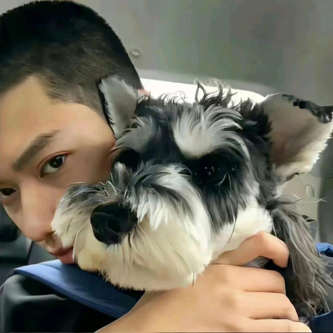 赶羚的🐑