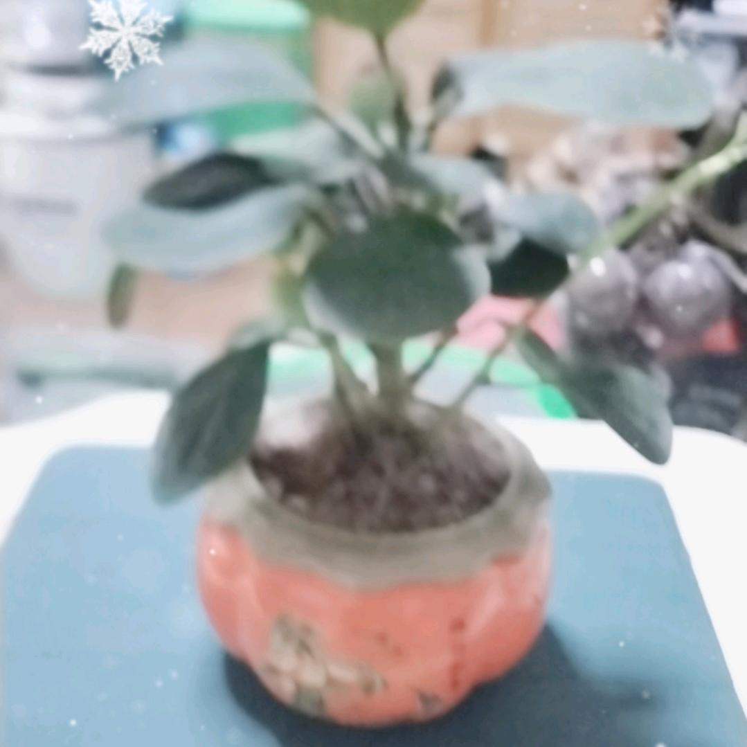 我爱我家