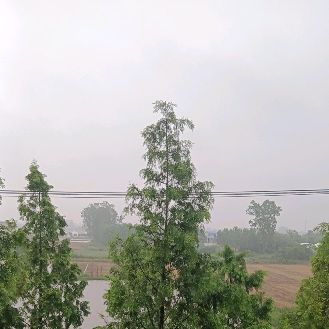 喧哗的城市丶空白的心