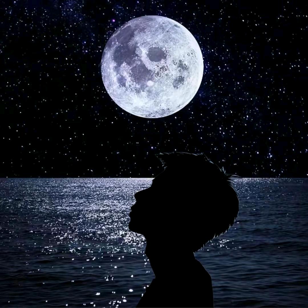 星·辰ʸ⁰（归隐）