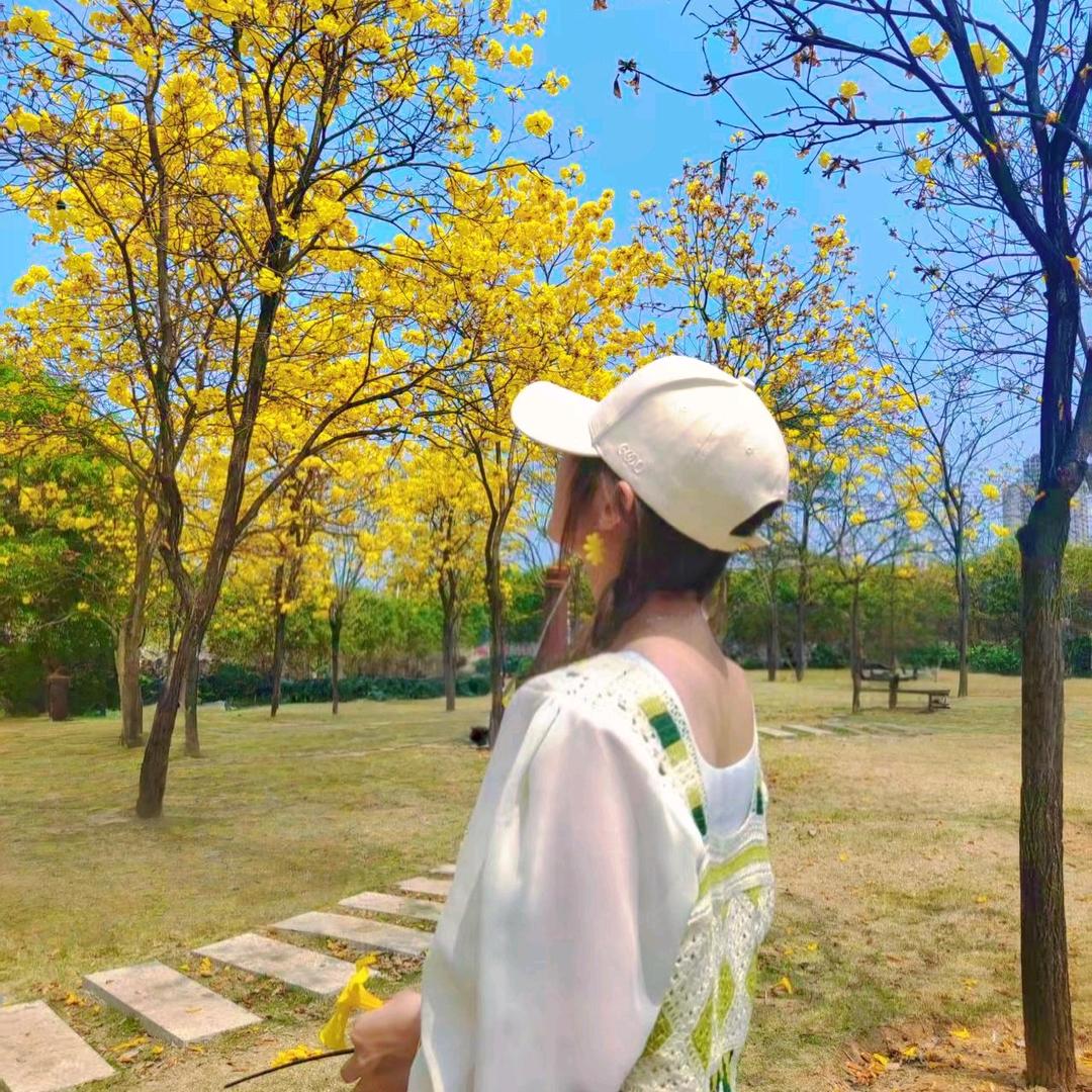 会轻功的陆川猪