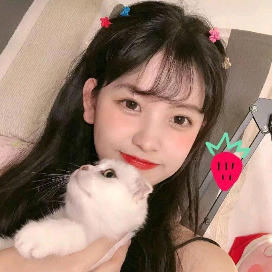 许愿池里的锦鲤