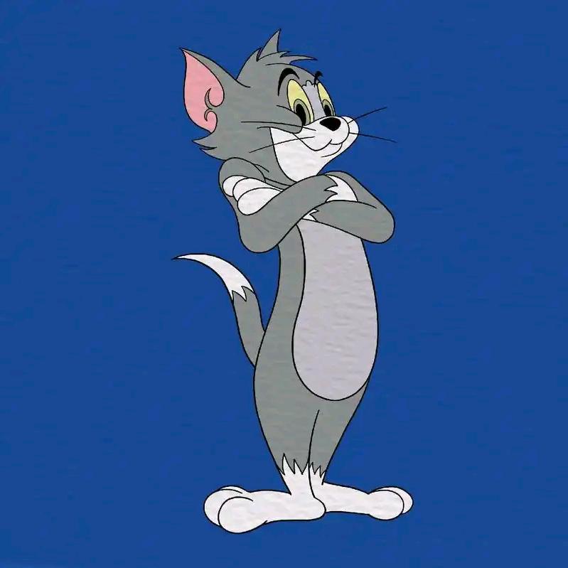 爱玩游戏的猫哥哥