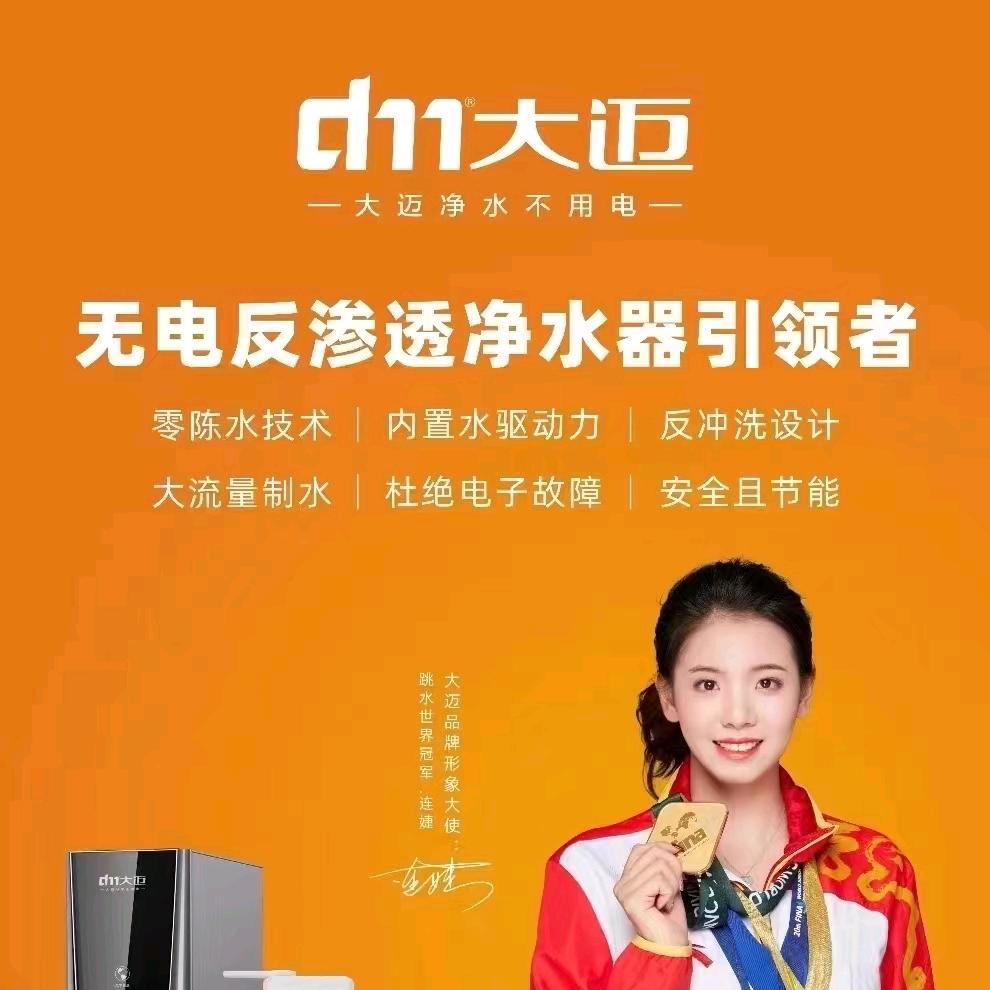 大迈无电全屋净水