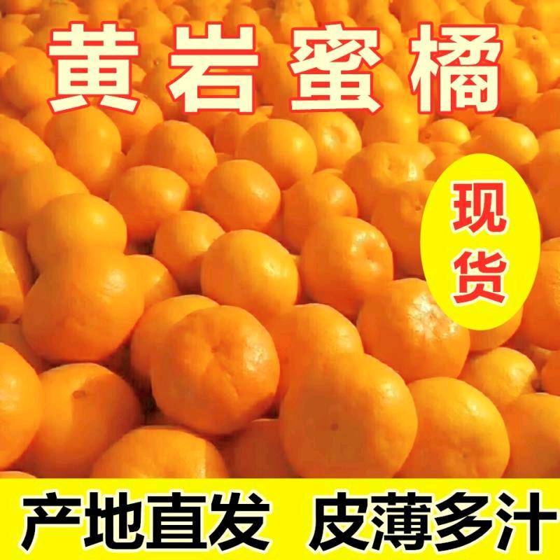 黄岩涌泉蜜桔批发商