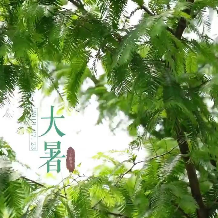 励志人生顺