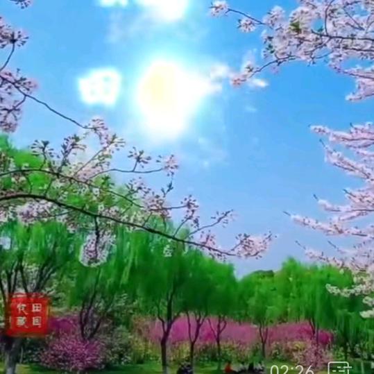 静悄悄