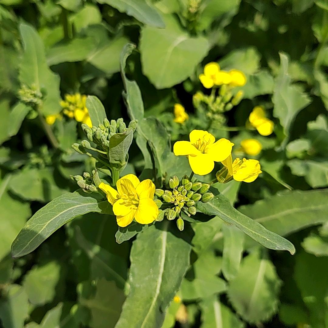 李孟贵