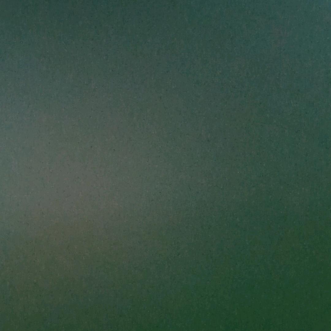 和平精英陈（壮族人）