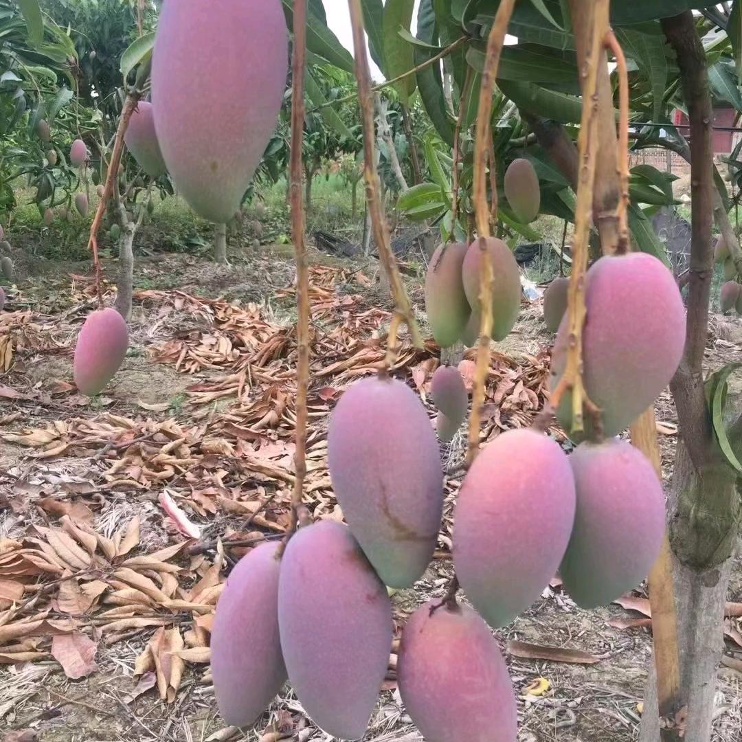 缘来是您
