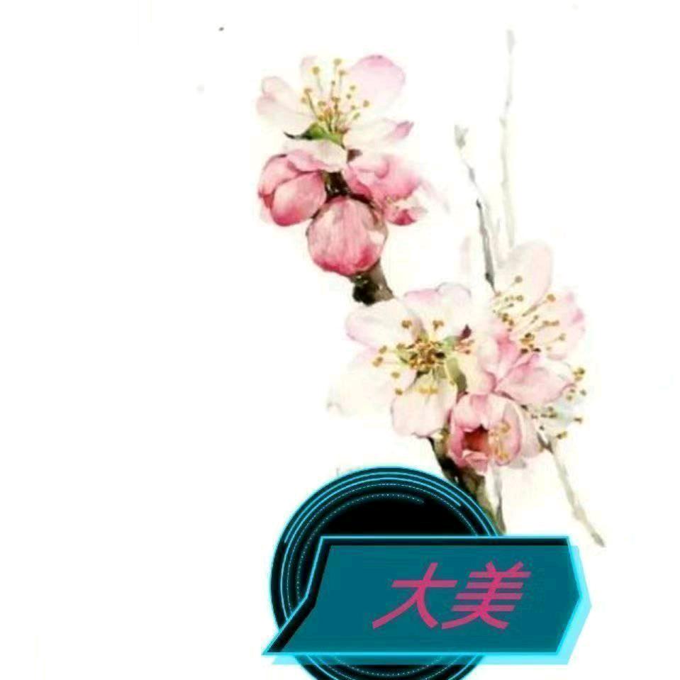 yang姐