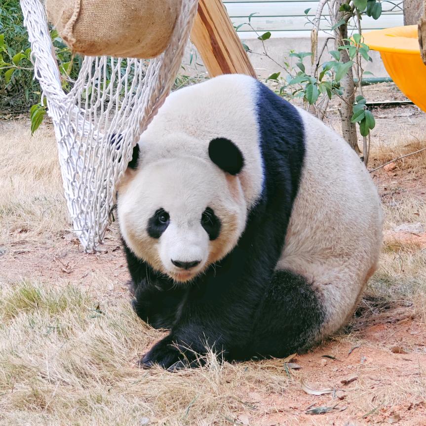 追梦路上