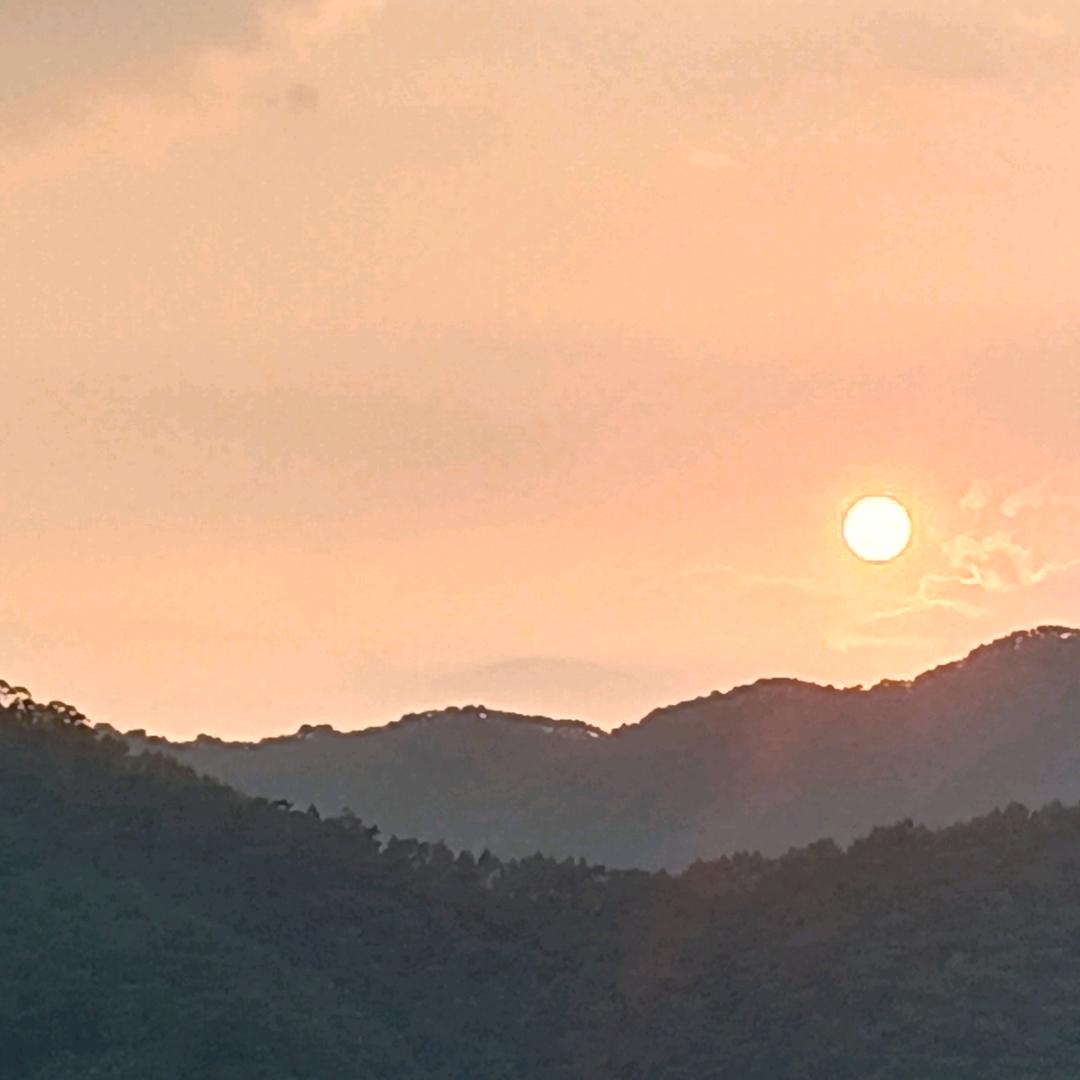 潇洒人生。