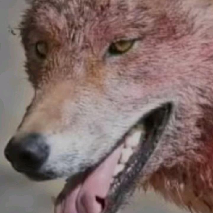 幸福我们的一家庭😊