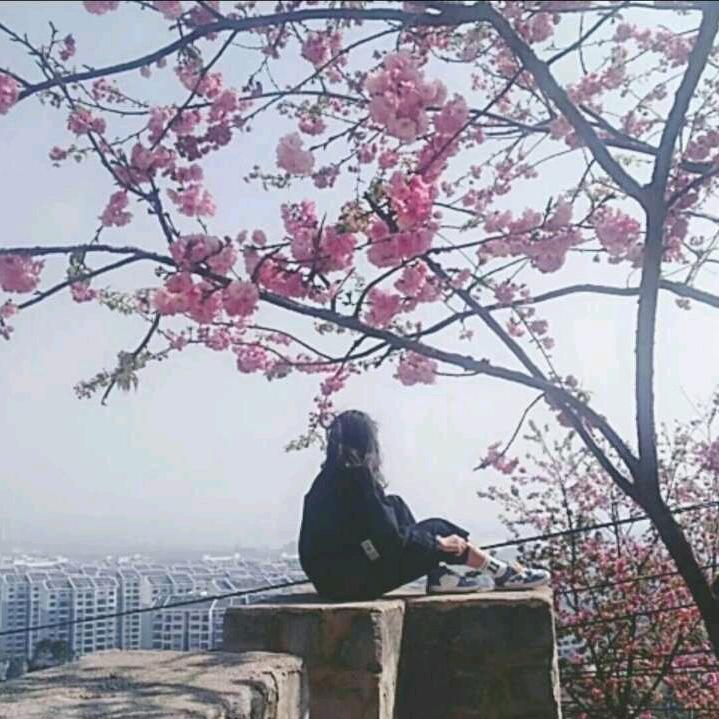 Pioneer孫✌︎︎˃̵͈̑ᴗ˂✌︎