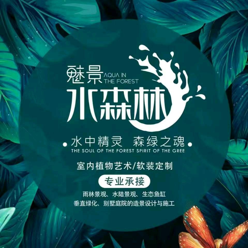 水森林珊瑚海洋牧场