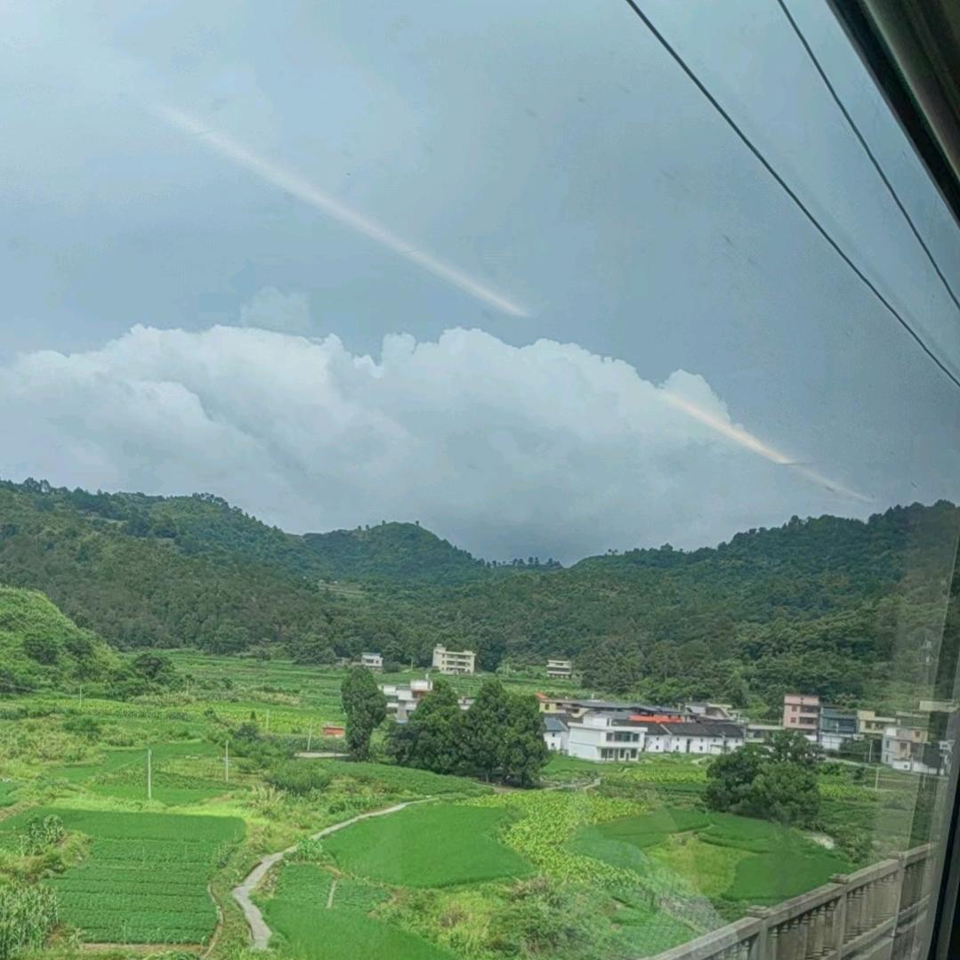 佳雨