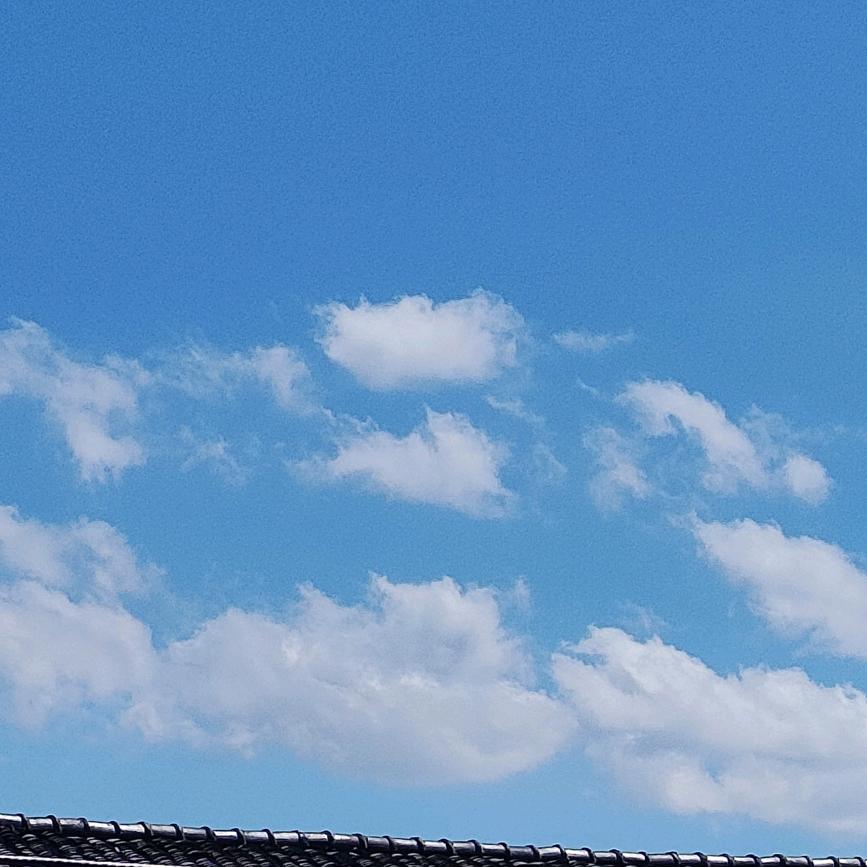 兰