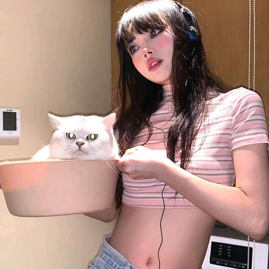 小兔指挥官