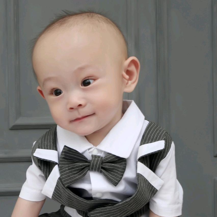 ✨小凡（好物在橱窗）