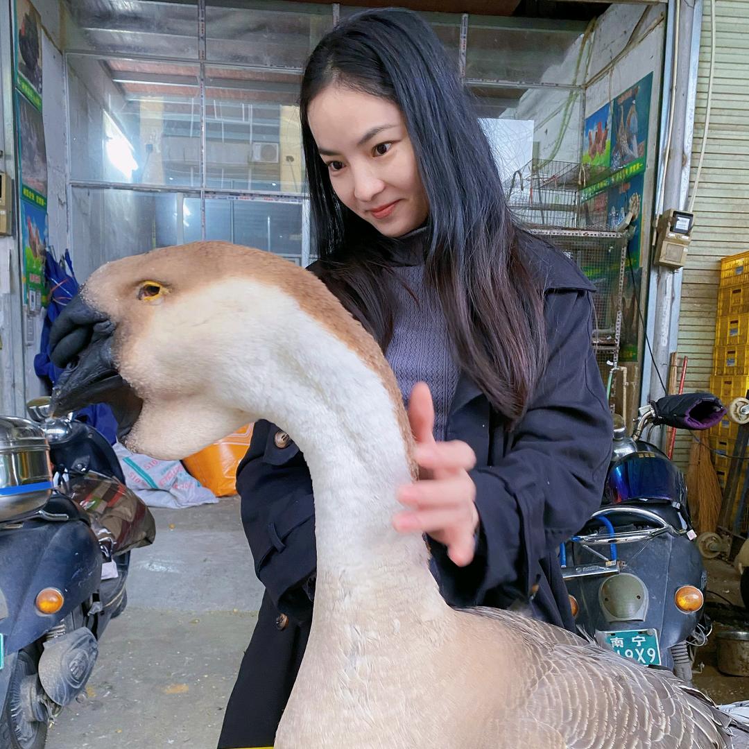 卢姐电子商务龙羽秀秀