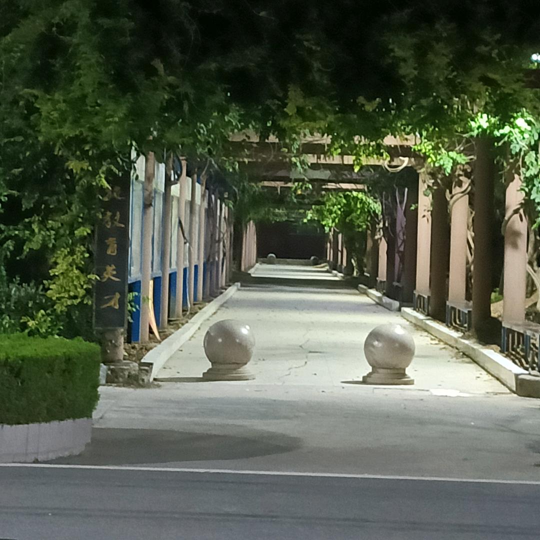 心静