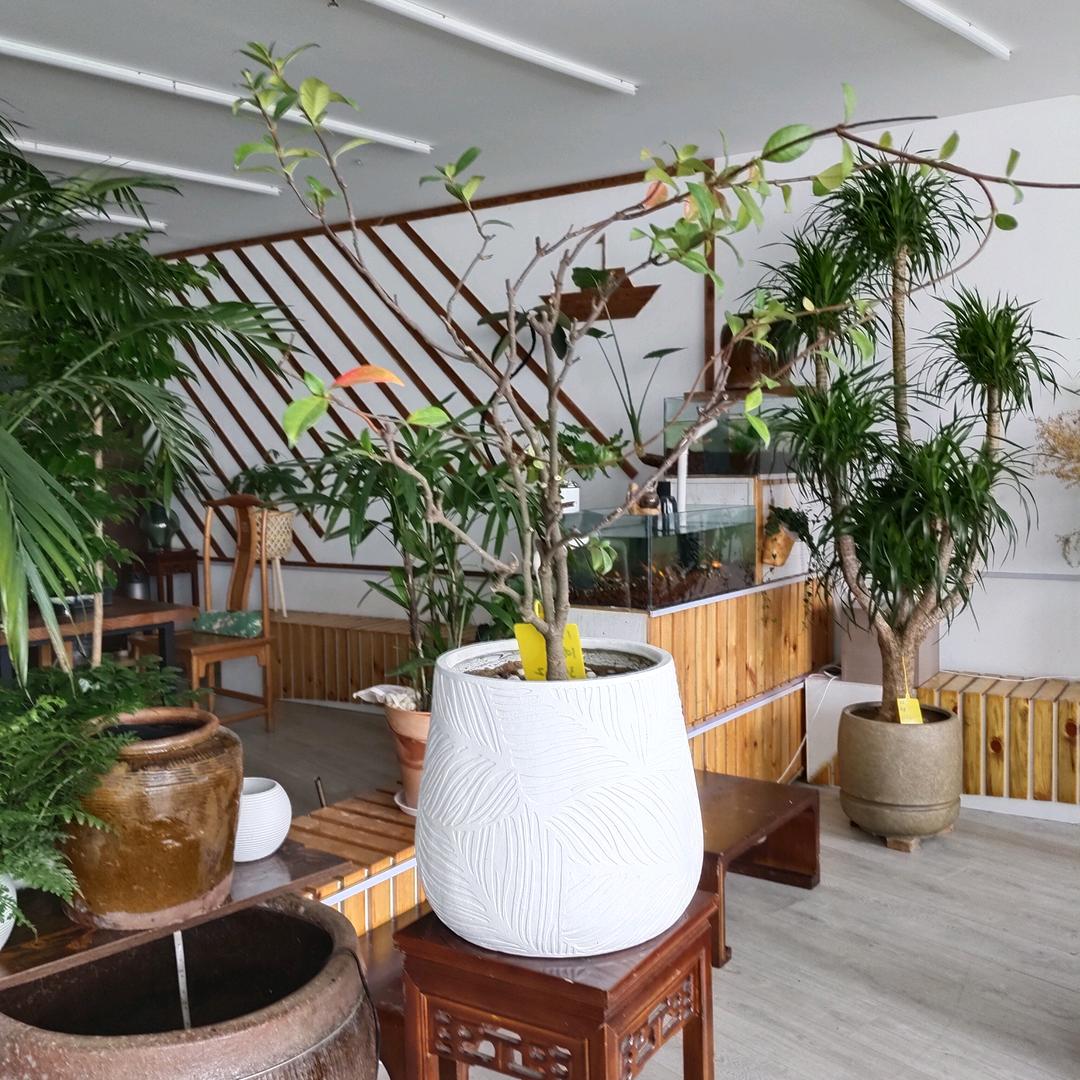 友圃园艺旗舰店