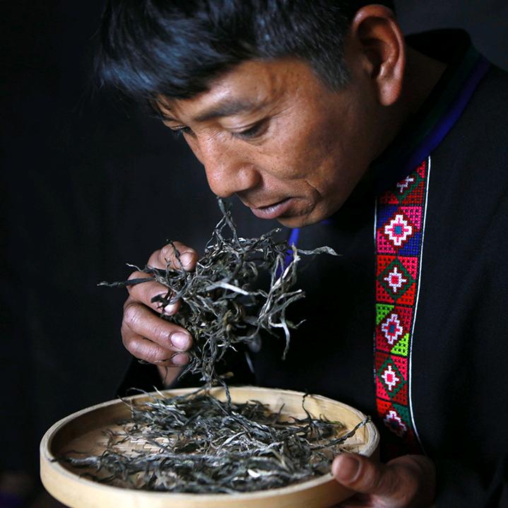 老班章村长和森