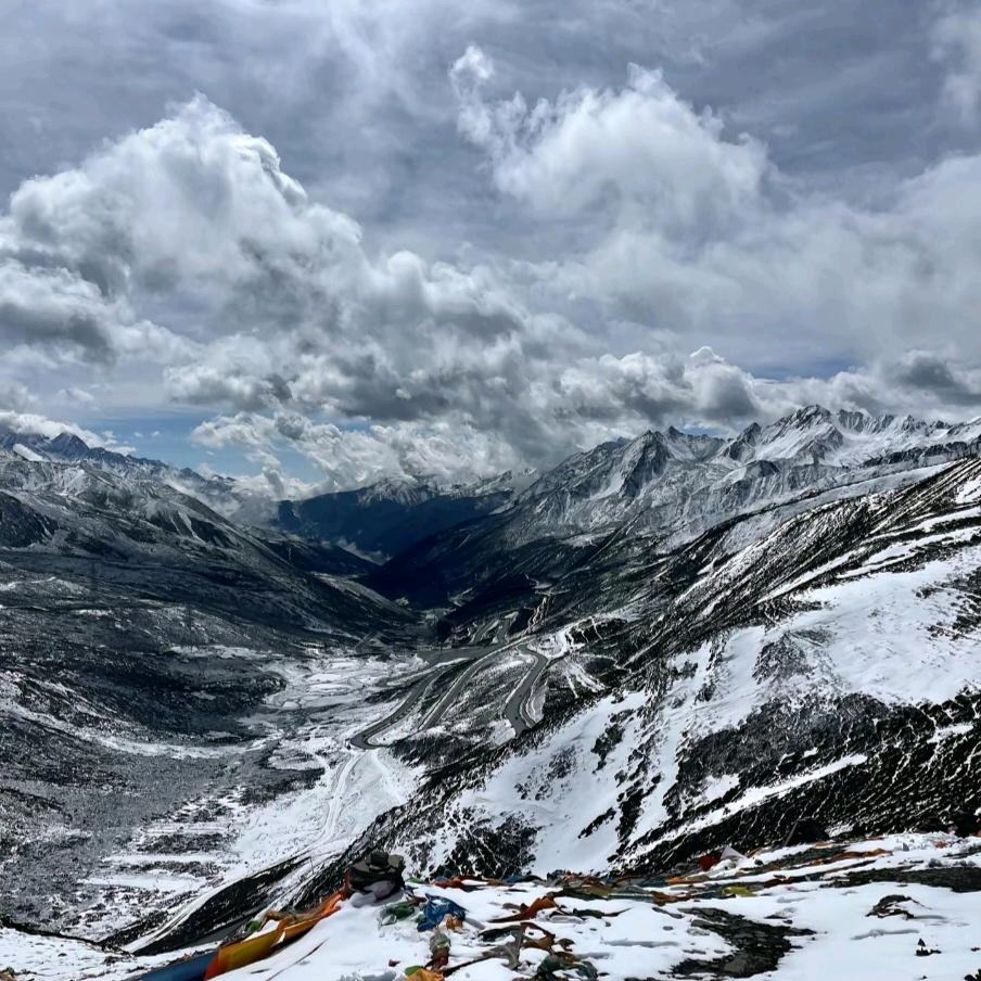 芦根 荆芥 半夏 大货 刘佳豪